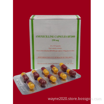 AMOXICILLIN CAPSULE 250MG